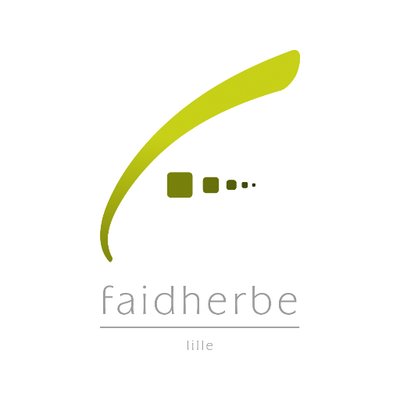 Logo Lycée Faidherbe